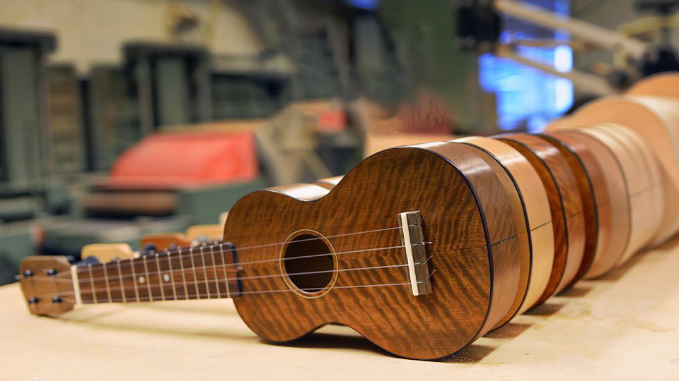 Ukulele là gì