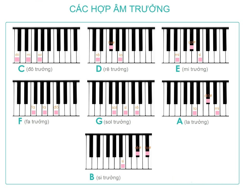 hợp âm piano cơ bản