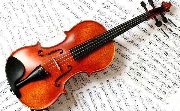 cấu tạo và thành phần chính đàn violon
