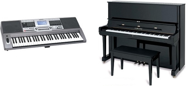 organ và piano