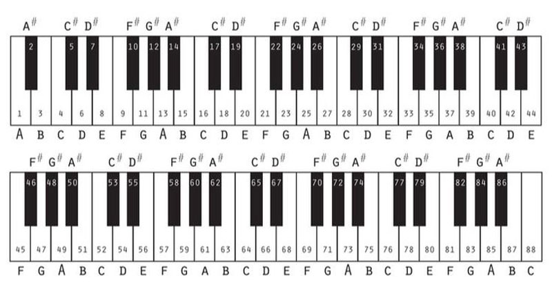 hợp âm piano cơ bản dành cho người mới bắt đầu