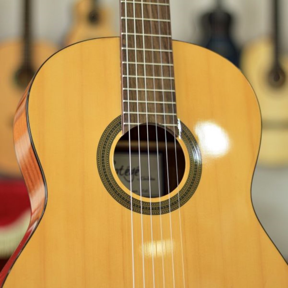 guitar cordoba C1
