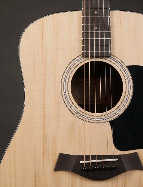 guitar taylor 110E