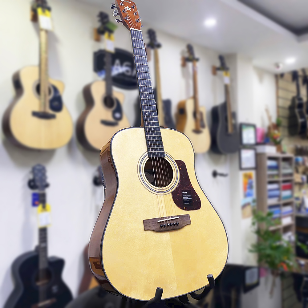 Guitar Mantic GT310