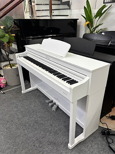 piano dien Asahi 302