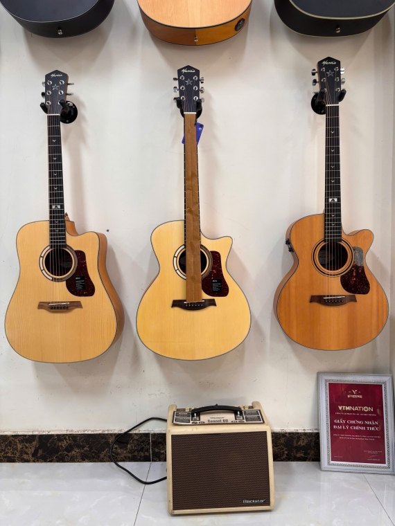Nên Mua Guitar Dáng DC, GC Hay AC? Kinh Nghiệm Chọn Đàn Cho Người Mới