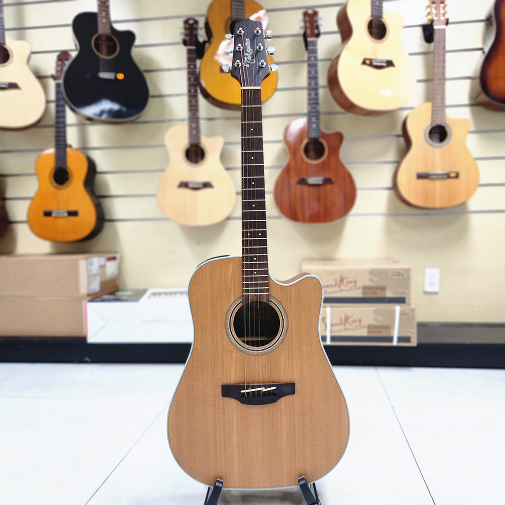 Đàn guitar acoustic Takamine GD20CE-NS chính hãng, giá rẻ, mua trả