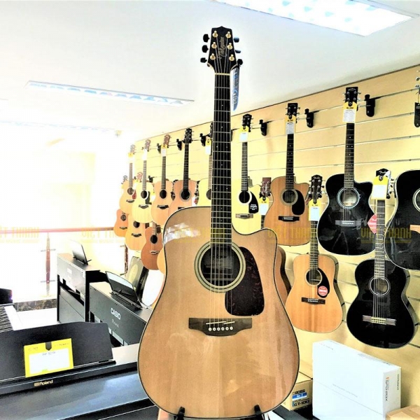 Takamine GD93CE NAT