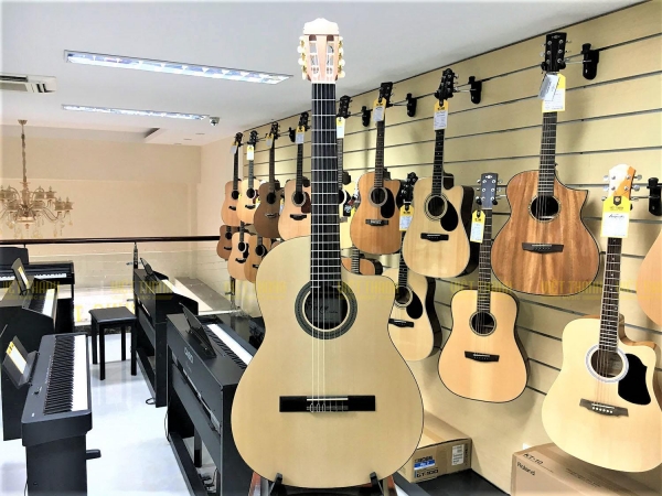 Cordoba C1M-CE