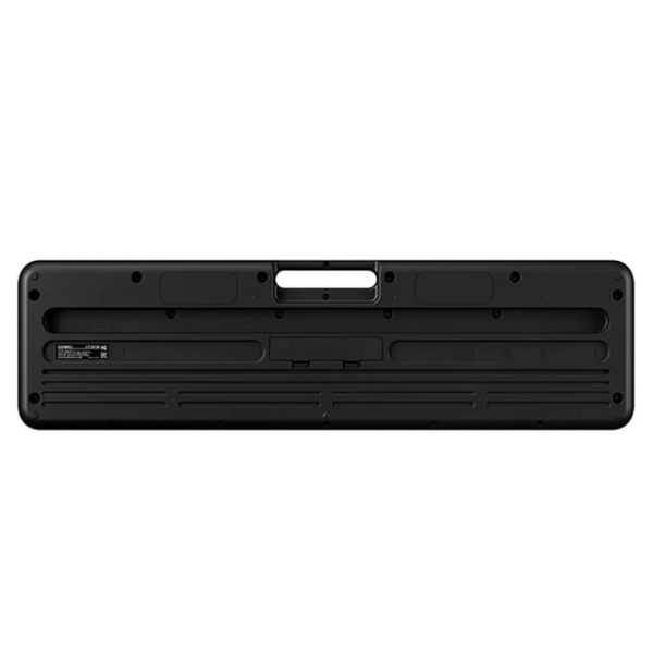 Casio CT-S100