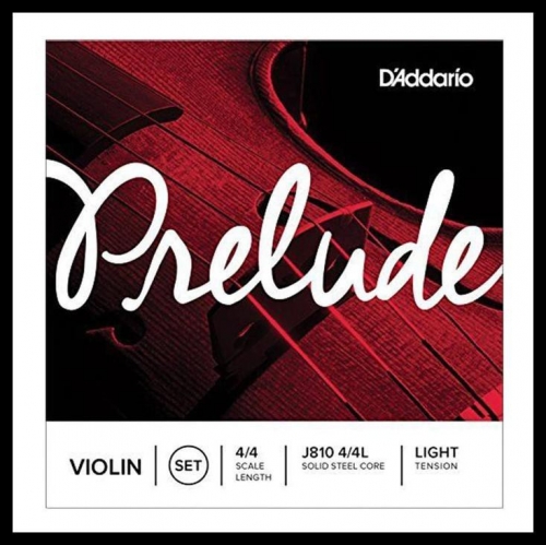 Dây đàn Violin D'Addario J810-4/4L