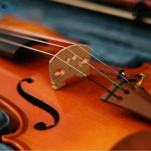 violin Acutis AHV2103