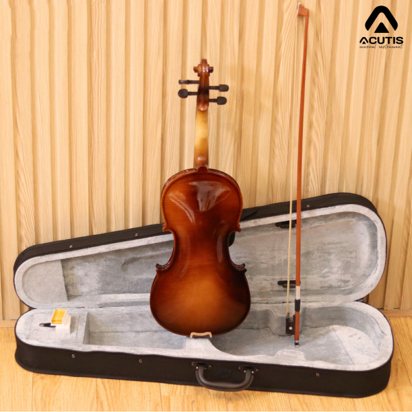 Violin Acutis AYV3005