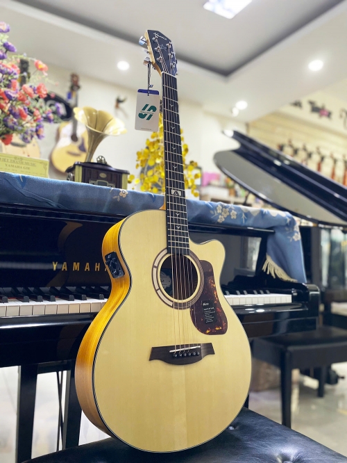 Guitar Mantic GT-1ACE