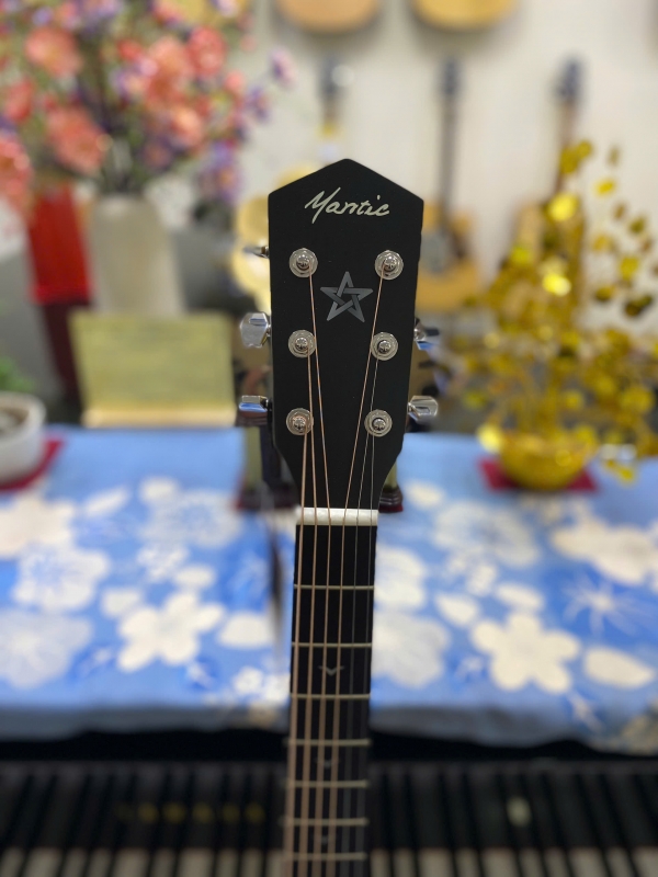 Đàn guitar Mantic GT1 ACE