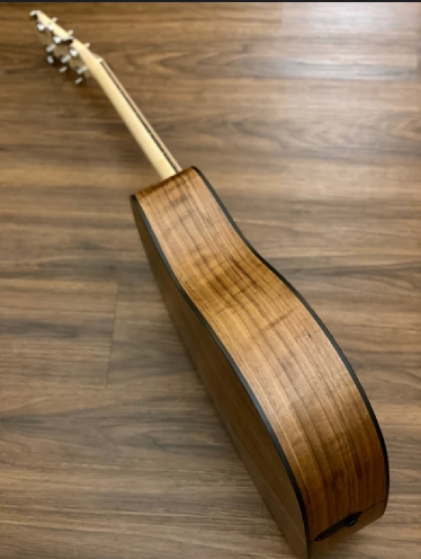 Guitar Taylor 110E
