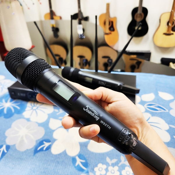 Micro không dây Soundking W95R-TH