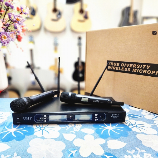 Micro không dây Soundking W95R-TH