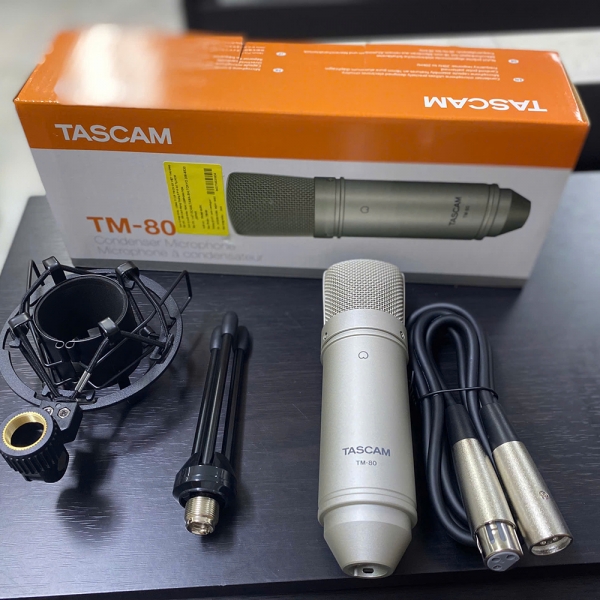 Micro Tascam TM-80