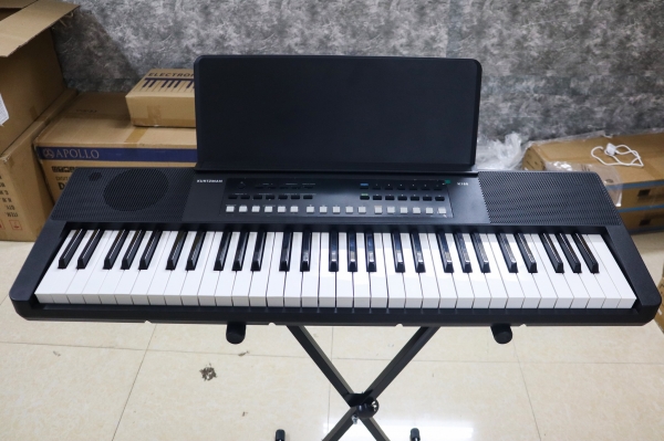 Organ Kurtzman K160