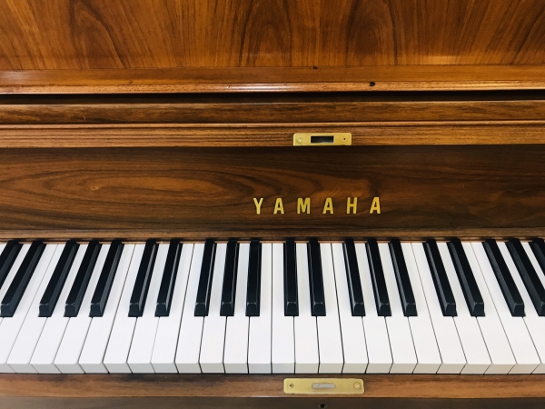 Đàn Piano Yamaha W101