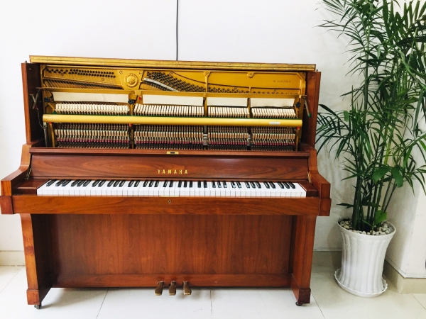Đàn Piano Yamaha W101