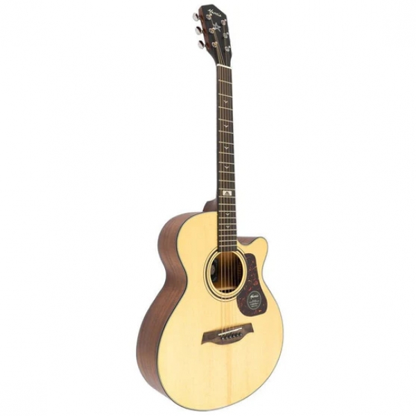 Guitar Mantic GT10 AC
