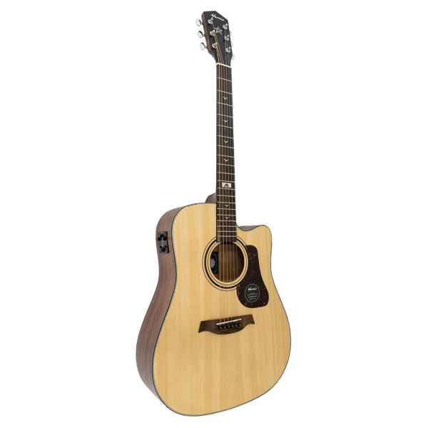 Guitar Mantic GT10 DCE
