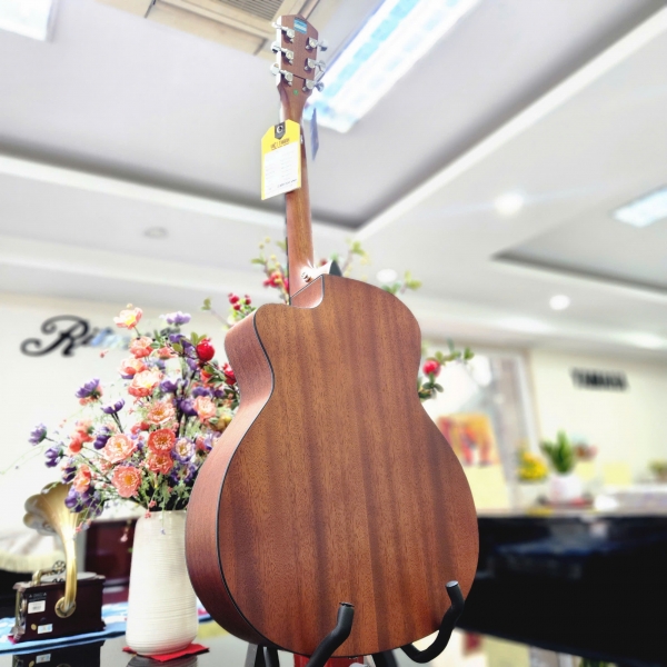 Guitar Mantic GT10 GC