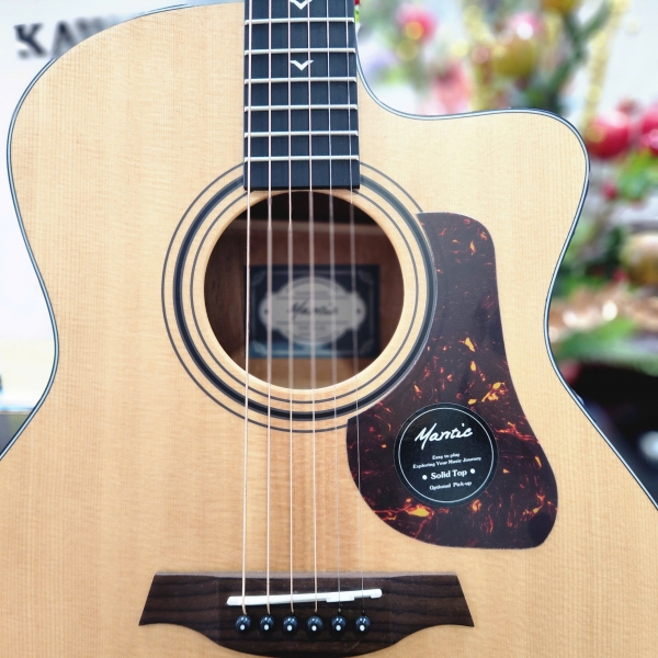 Guitar Mantic GT10 GC