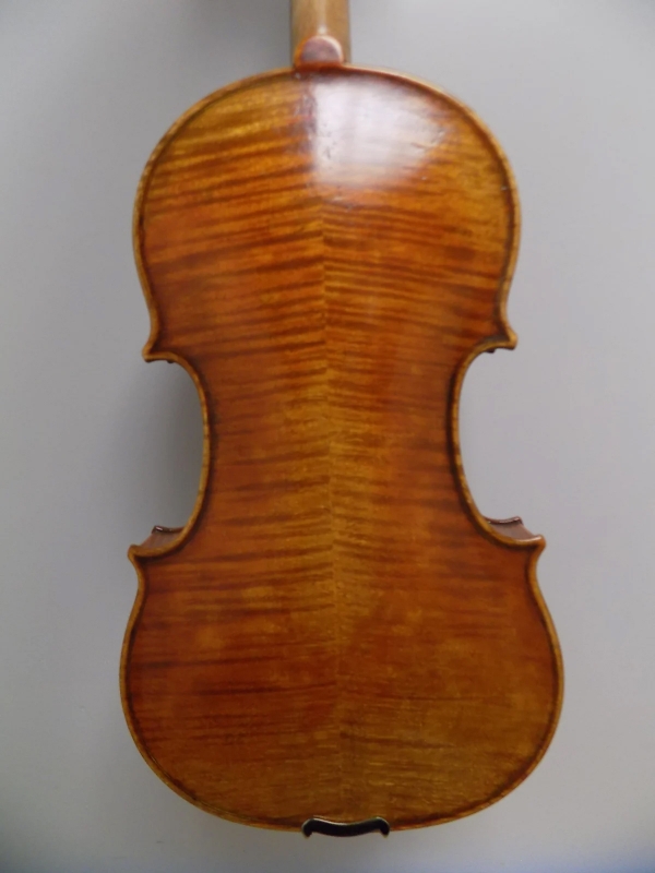 Violin Andreas Eastman Master VL906