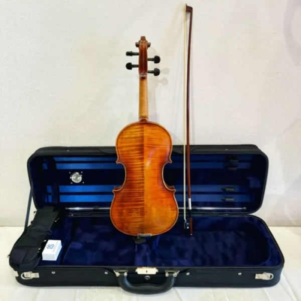 Violin Eastman Rudoulf Doetsch VL701