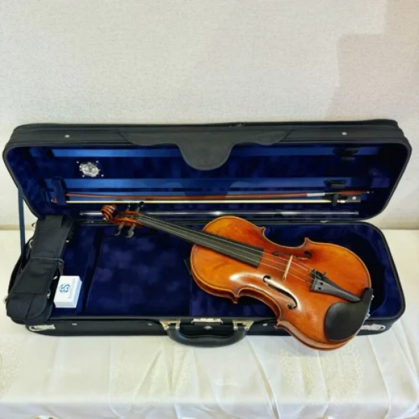 Violin Eastman Rudoulf Doetsch VL701