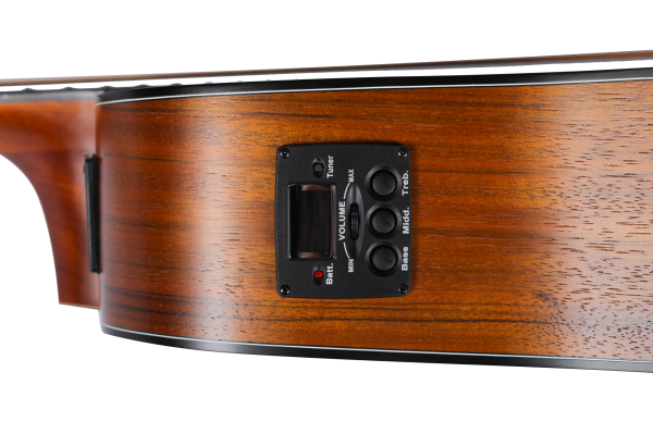 Đàn guitar Mantic AG370CE