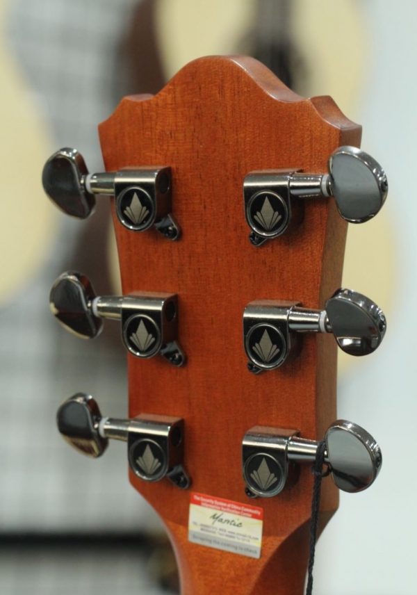 Đàn guitar Mantic AG370CE