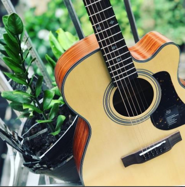 Đàn guitar Mantic AG370C