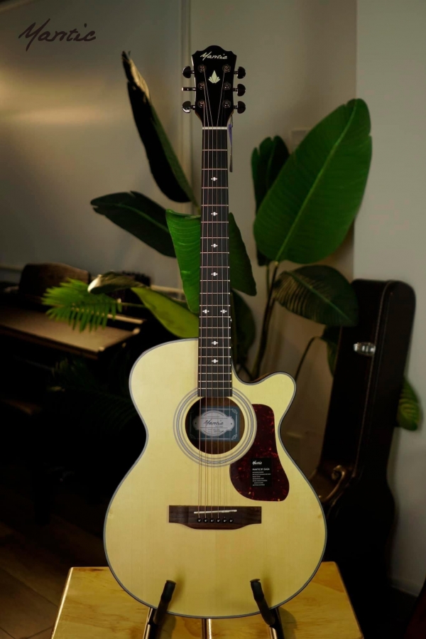 Đàn guitar Mantic MG370C