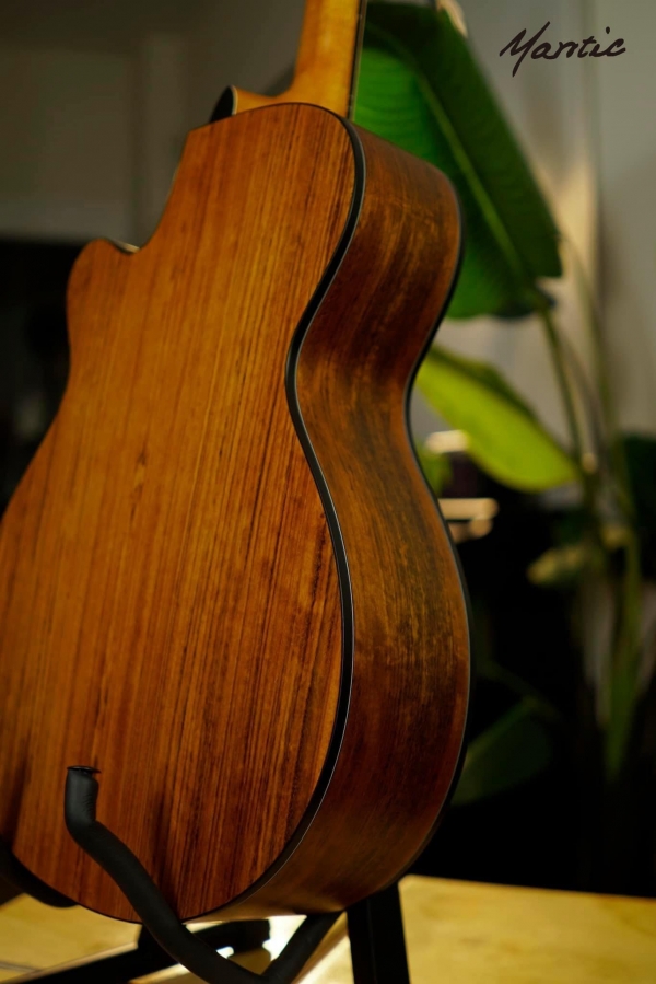 Đàn guitar Mantic MG370C