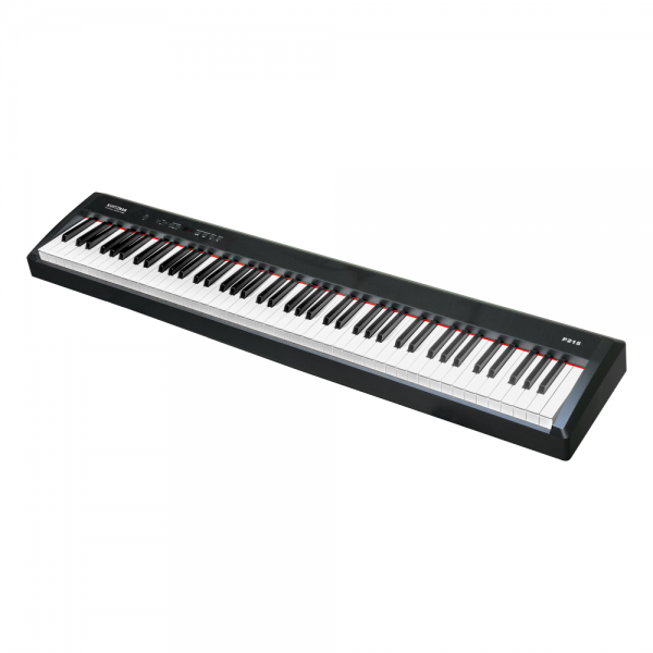 Piano Điện Kurtzman P215 màu đen