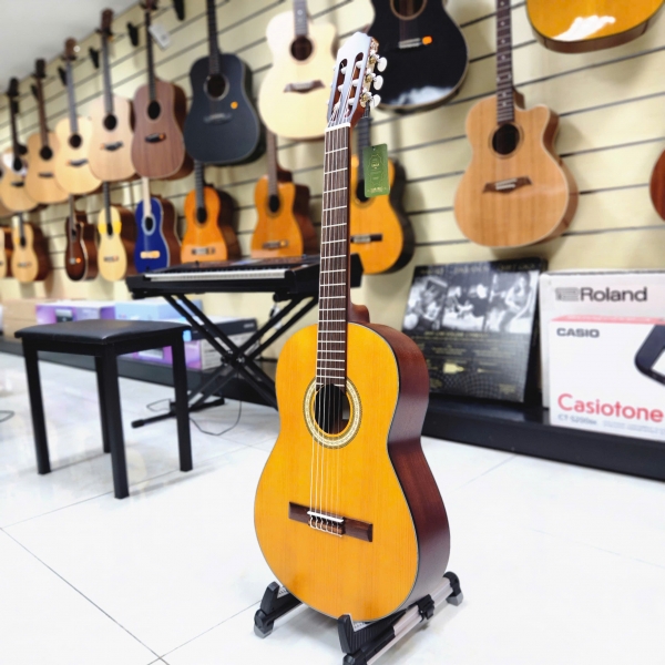 Guitar Classic Saga C1