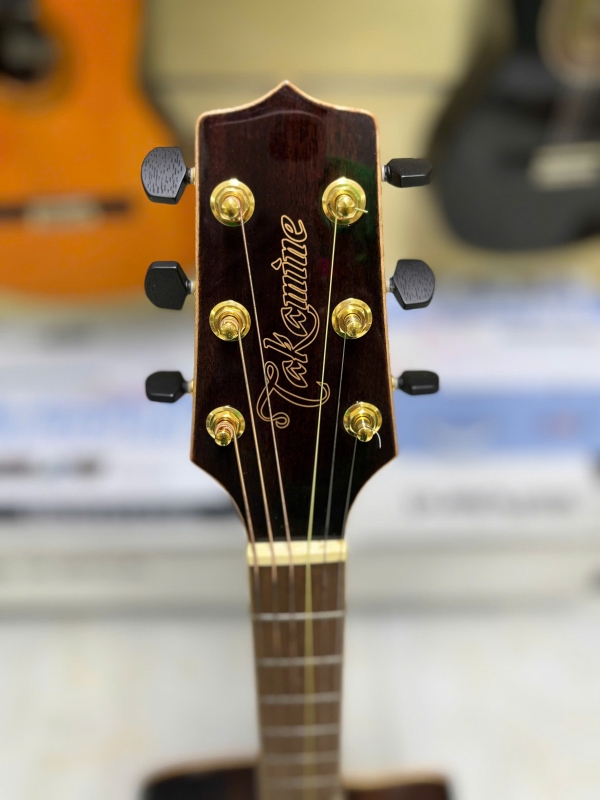 Takamine GD93CE NAT