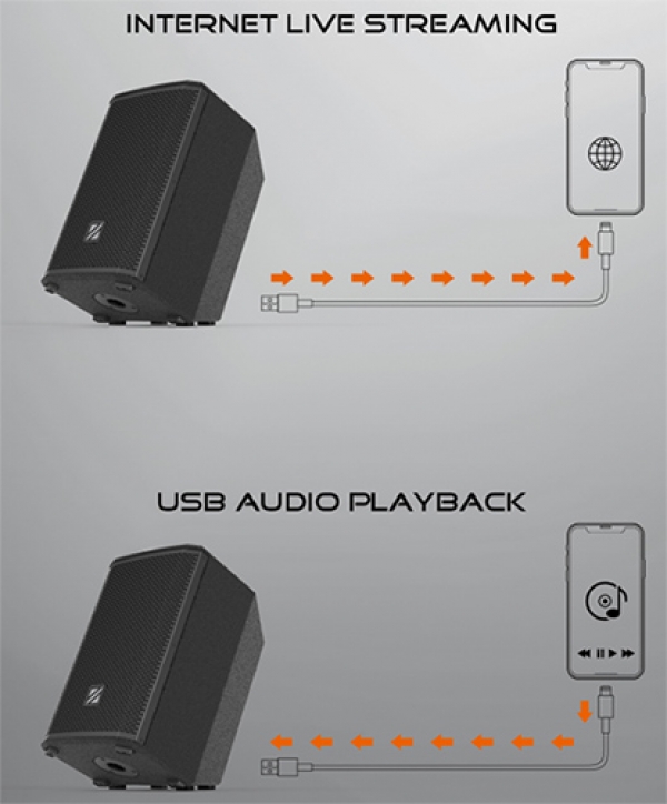 Loa di động Precision Drive K10
