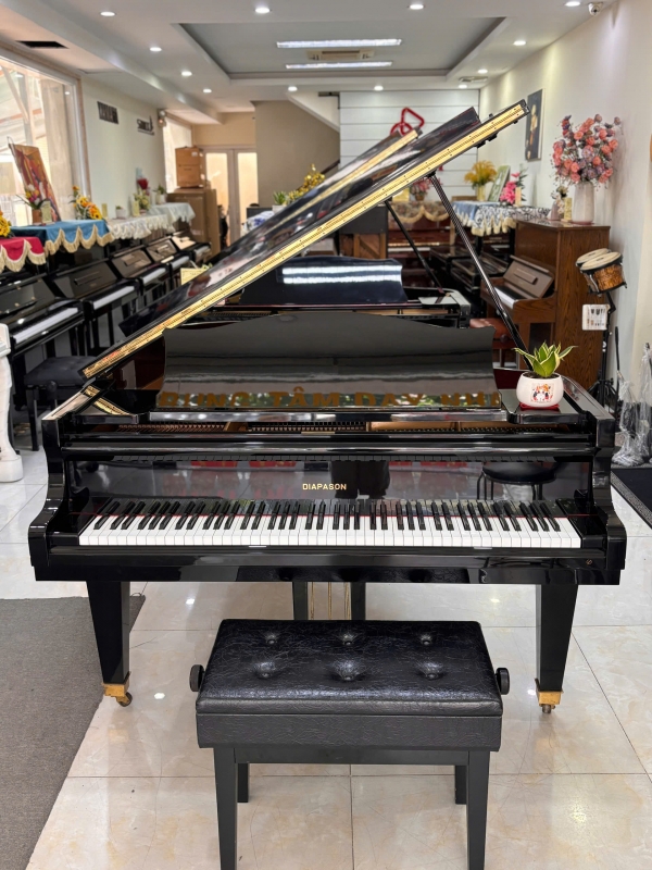 Grand Piano Diapason 183E