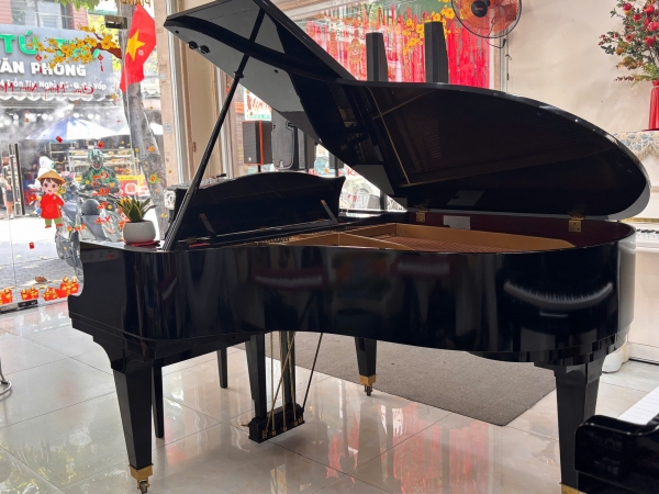 Grand Piano Diapason 183E