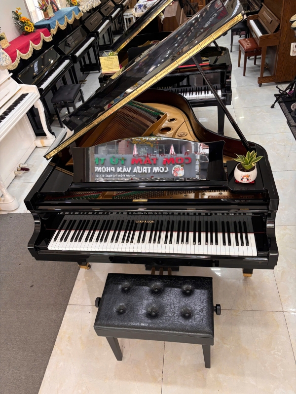 Grand Piano Diapason 183E