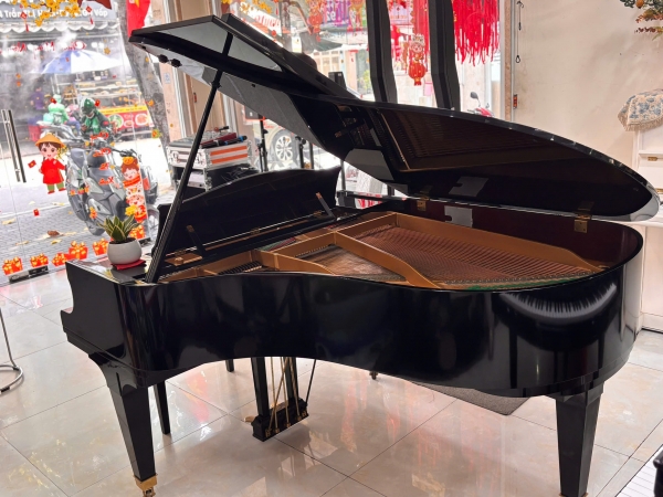 Grand Piano Diapason 183E