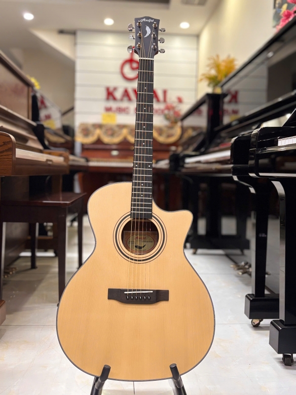 Guitar Acoustic Asolid 54CA