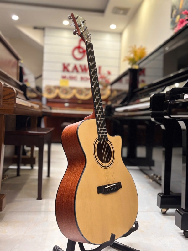 Guitar Acoustic Asolid 54CA