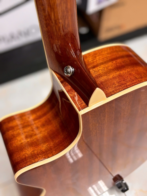 Guitar Acoustic Asolid 54CA