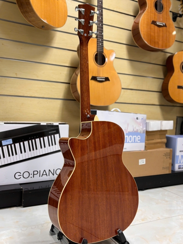 Guitar Acoustic Asolid 54CA